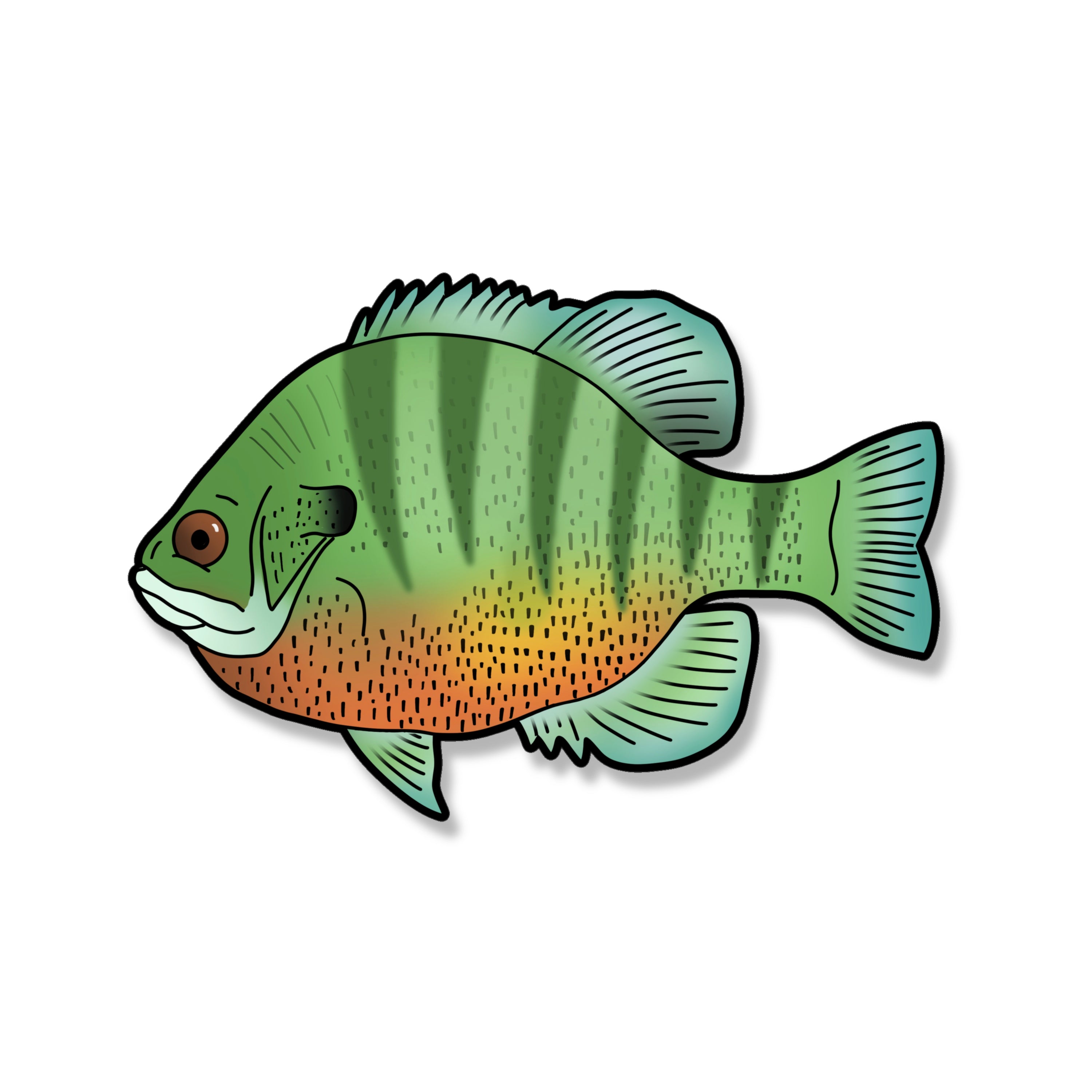 Blue Gill Vinyl Sticker