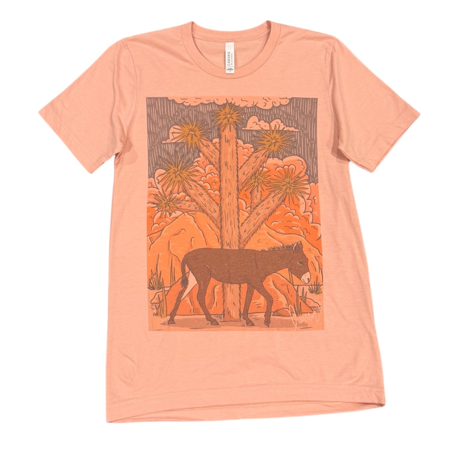 Desert Rain T Shirt