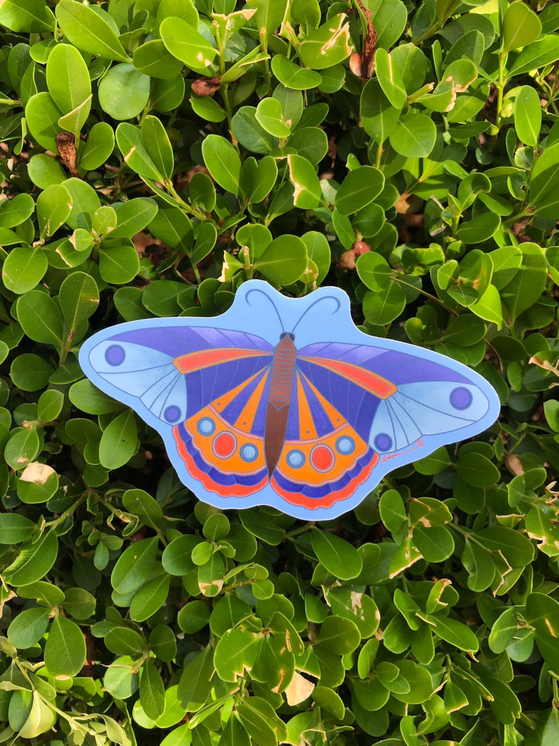 Blue Butterfly Vinyl Sticker