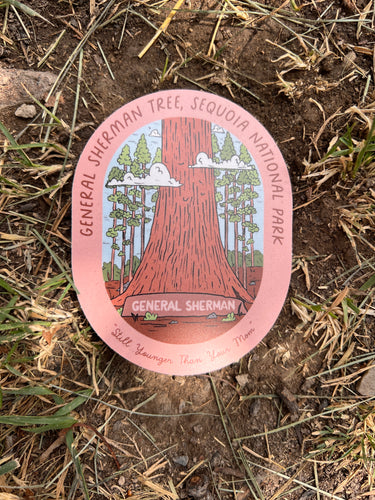General Sherman Tree, Sequoia National Park Vinyl Sticker